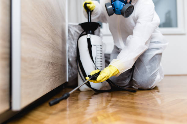 Best Insect Control  in Mantua, VA