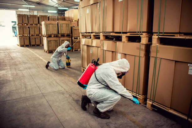 Best Best Pest Control Companies  in Mantua, VA