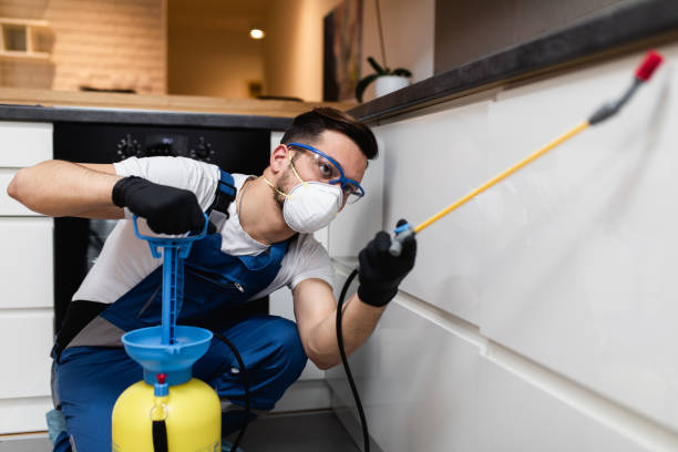 Best Ant Control Services  in Mantua, VA