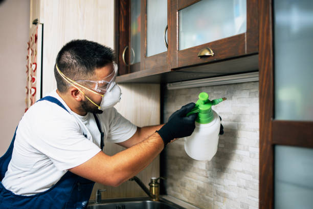 Best Wildlife Control Services  in Mantua, VA