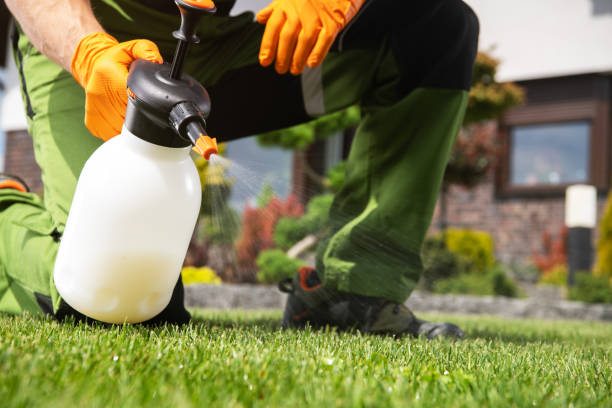 Best Wasp Removal Services  in Mantua, VA