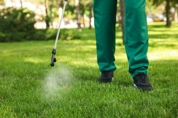 Best Affordable Pest Control Services  in Mantua, VA