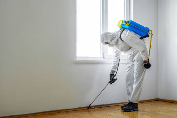 Best Residential Pest Control  in Mantua, VA