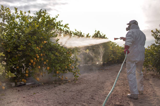 Best Pest Control Near Me  in Mantua, VA