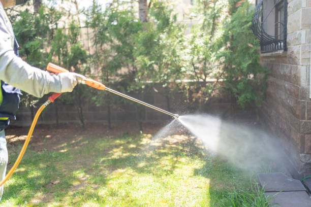 Best Cockroach Control Services  in Mantua, VA