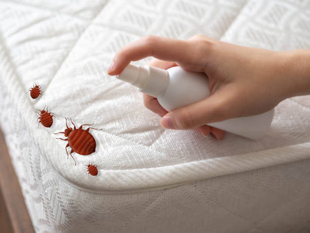 Best Emergency Pest Control  in Mantua, VA