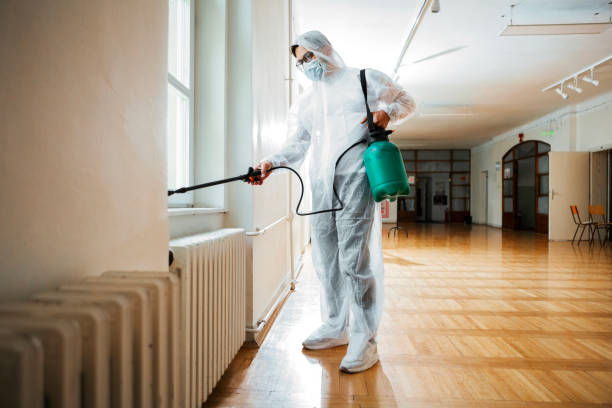 Reliable Mantua, VA Pest Control Solutions
